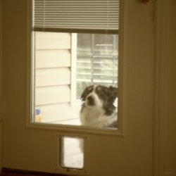 2011 Family Scrapbook